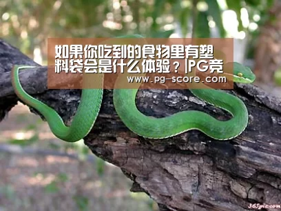 如果你吃到的食物里有塑料袋会是什么体验?|PG竞猜(图2) PG足球