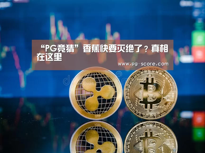 PG篮球