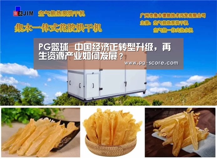 PG篮球-中国经济正转型升级,再生资源产业如何发展?(图1) PG篮球