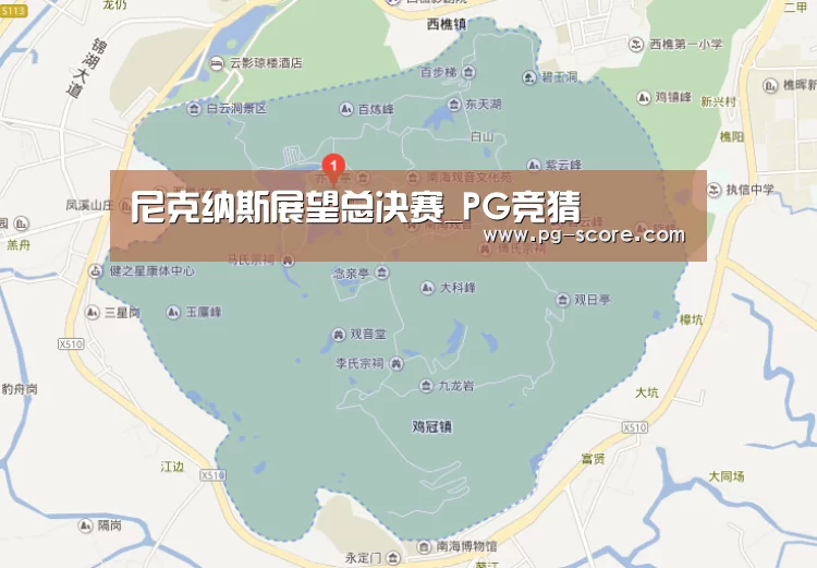 尼克纳斯展望总决赛_PG竞猜(图3) PG体育
