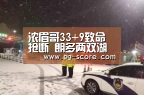 浓眉哥33+9致命抢断 朗多两双湖人四人20+负鹈鹕|PG体育(图3) PG篮球