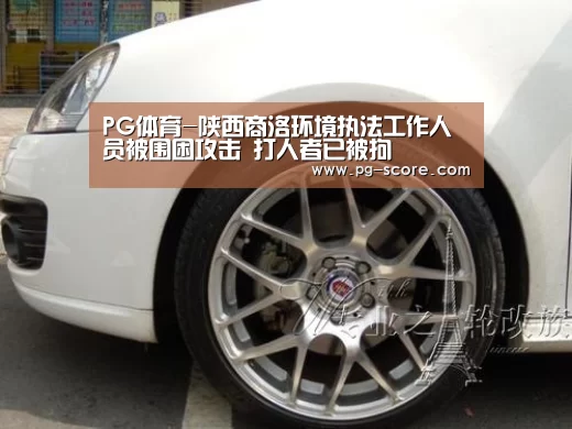 PG体育-陕西商洛环境执法工作人员被围困攻击 打人者已被拘(图1) PG体育